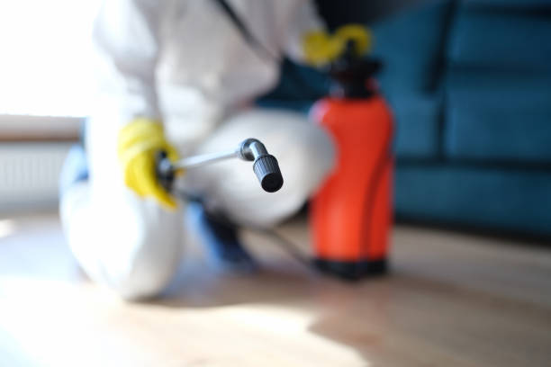 Mold Documentation for Insurance Claims in Lenwood, CA